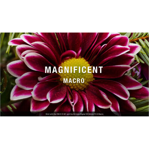 OM SYSTEM M.Zuiko Digital 60mm f/2.8 Macro Lens