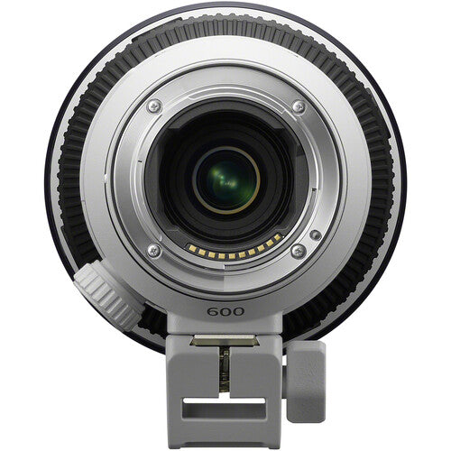 Sony FE 600mm F6.3 GM OSS Lens